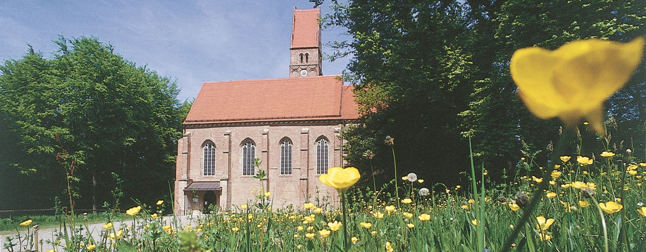 Burgkirche Oberwittelsbach, vorne eine blühende Sommerblumenwiese