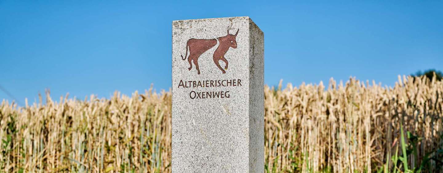 Meilenstein am Altbaierischen Oxenweg mit dem Logo, im Hintergrund ein Weizenfeld