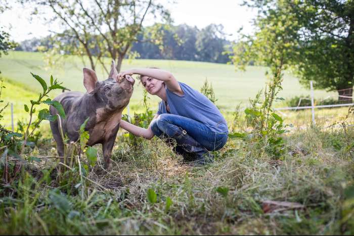 Frau streichelt ein Schwein, im Hintergrund Felder und Wald
