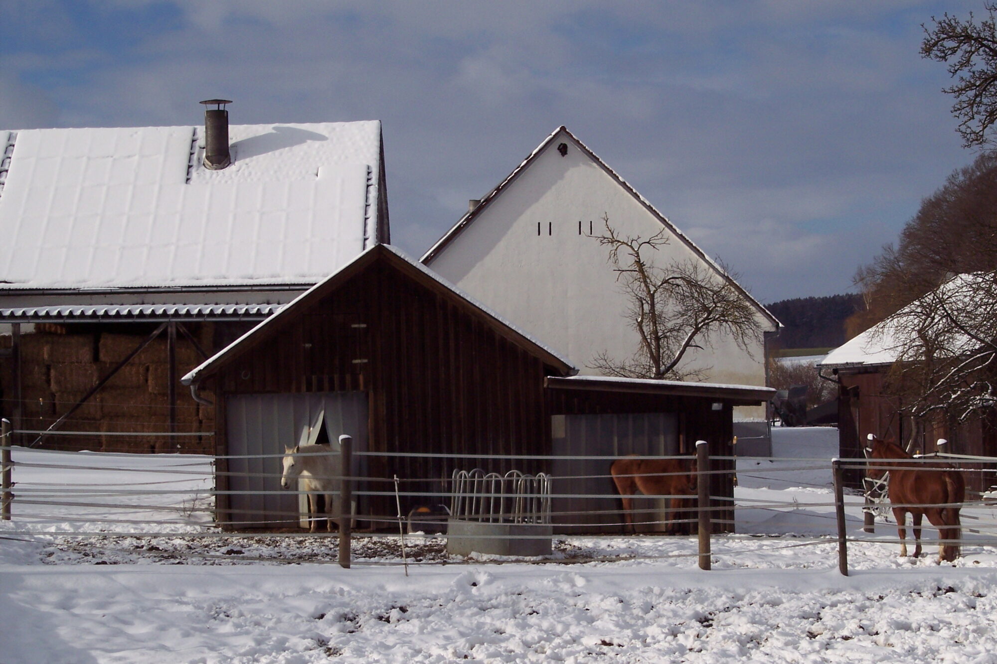 Schneebedeckter Offenstall mit drei braunen Pferden. Im Hintergrund mehrere Ställe und landwirtschaftliche Gebäude des Reiterhofes