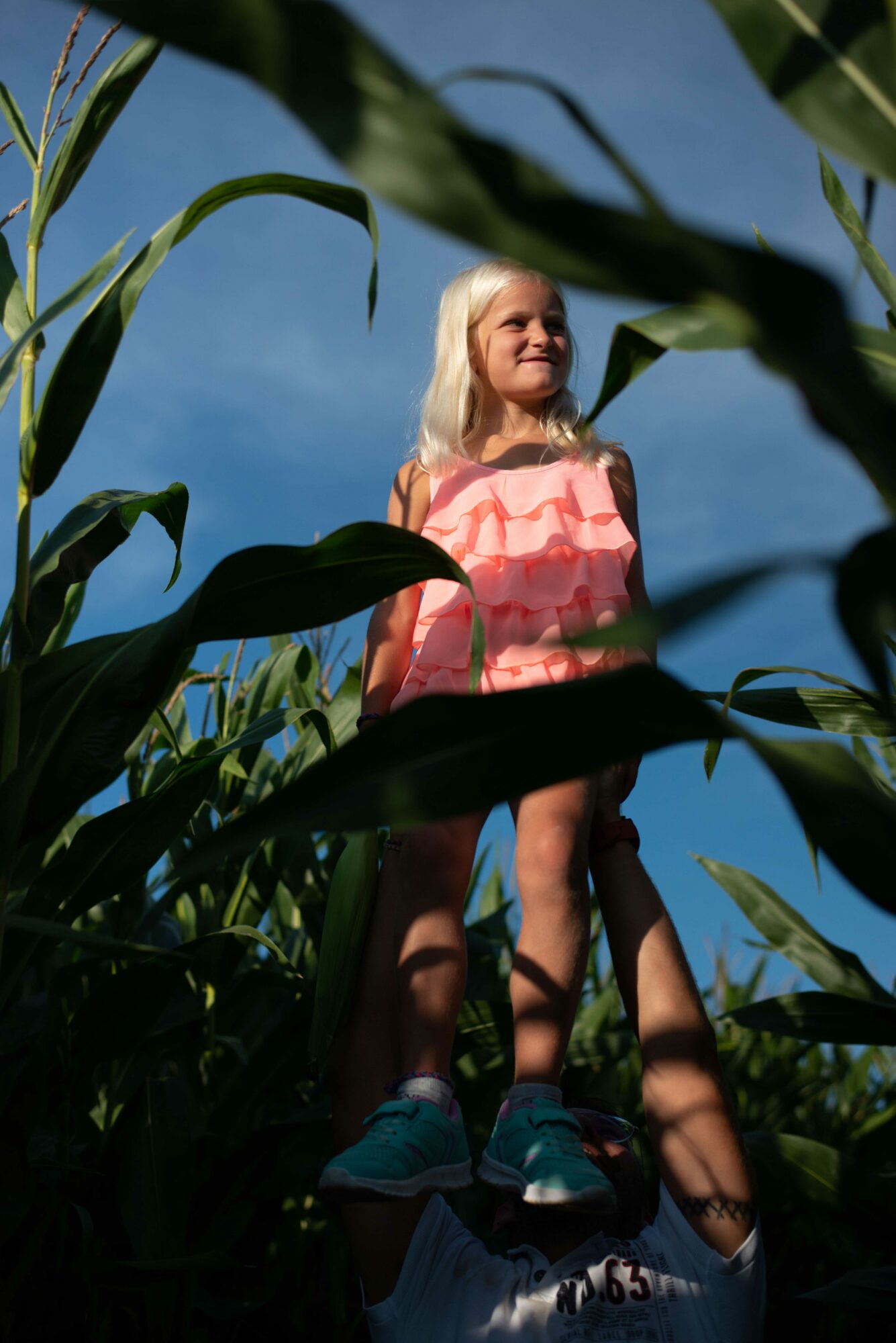 Vater hebt seine Tochter in eniem Maislabyrinth auf seine Schultern um zu schummeln und den Ausgang zu finden.