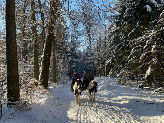 Drei Frauen reiten auf Pferden auf einem schneebedeckten Waldweg. Die Sonne scheint durch die schneebedeckten Bäume.