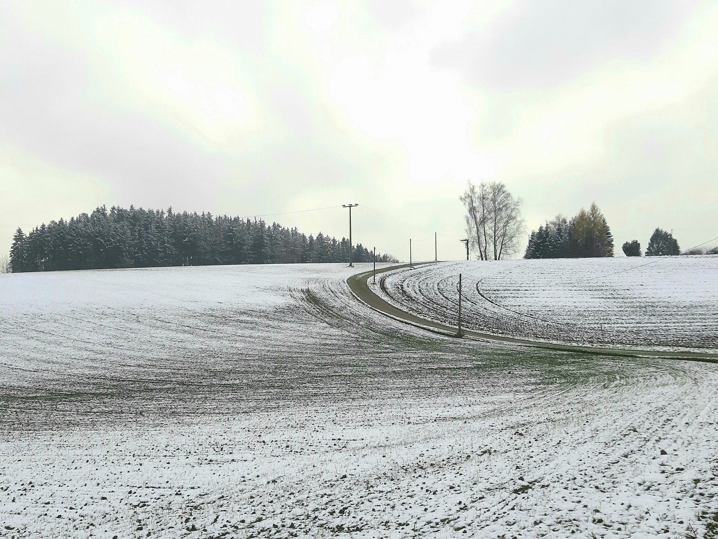 Winterlicher Pilgerweg "Herrgottsruh in Friedberg" mit schneebedeckten Feldern und Wald vor bewölktem Himmel