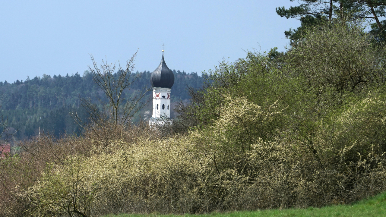 Kirchturm von Handzell hinter blühenden Hecken und Bäumen