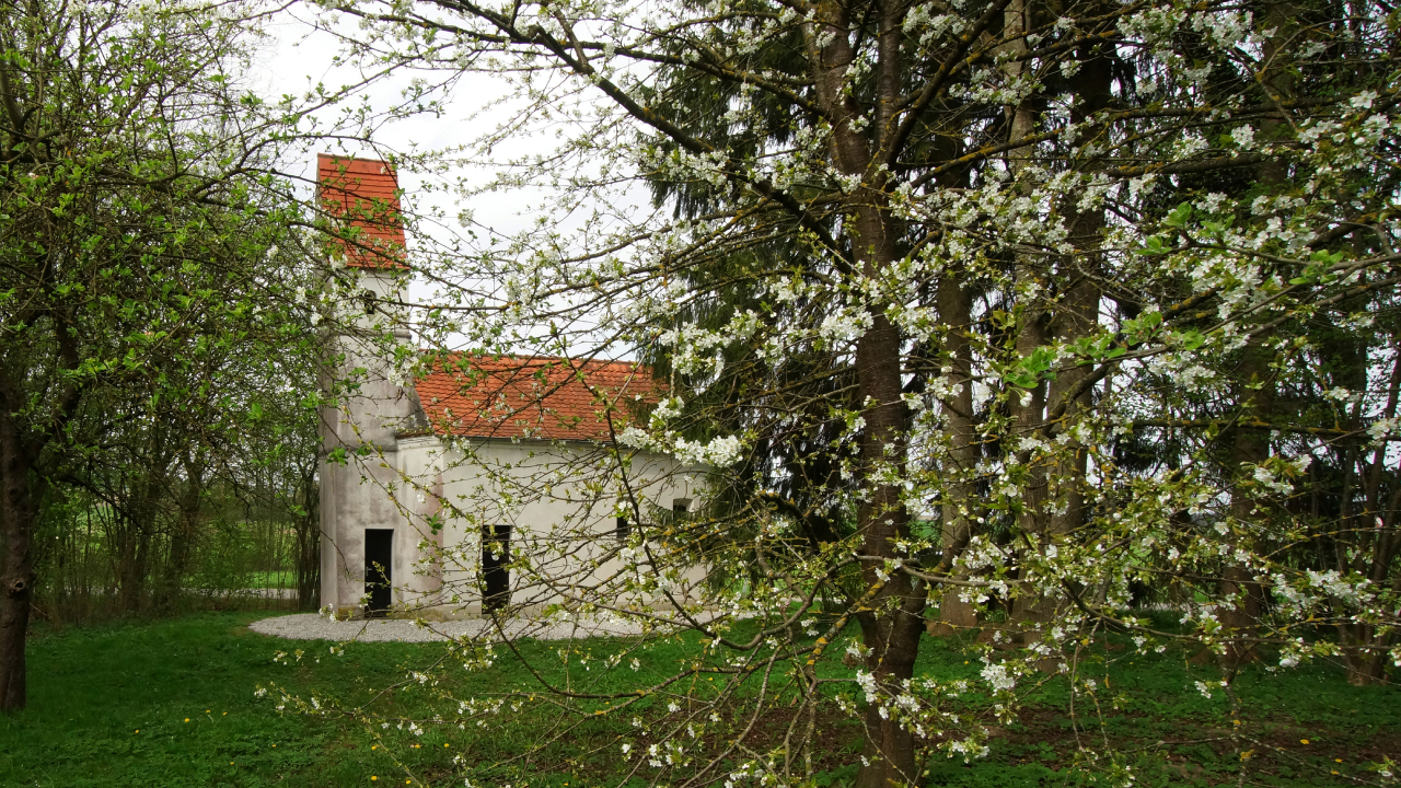 Kapelle St. Ullrich auf einer grünen Wiese. Im Vordergrund blühende Äste und Zweige