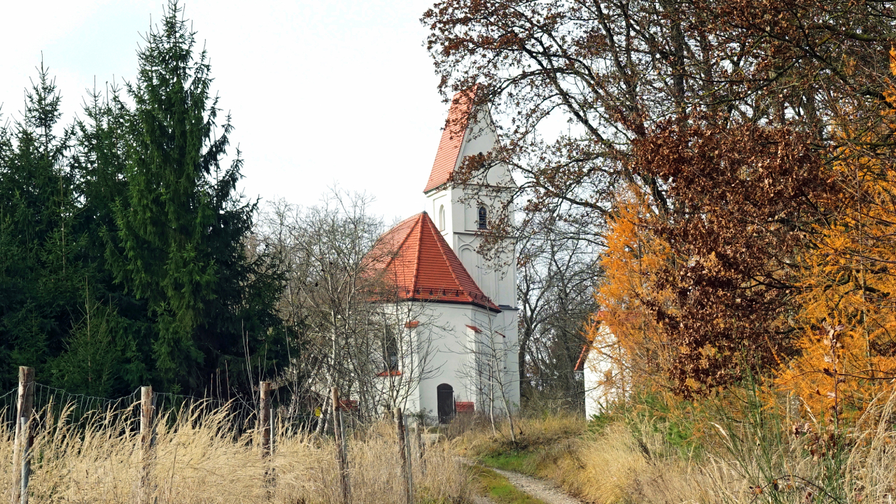 Ein Weg der von Laub- und Nadelbäumen gesäumt wird führt zur Kirche St. Othmar