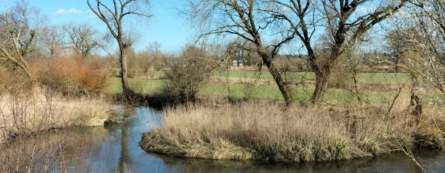 Fluss schlängelt sich um dicht bewachsene Halbinseln vor grünen Wiesen und Feldern mit blauem Himmel