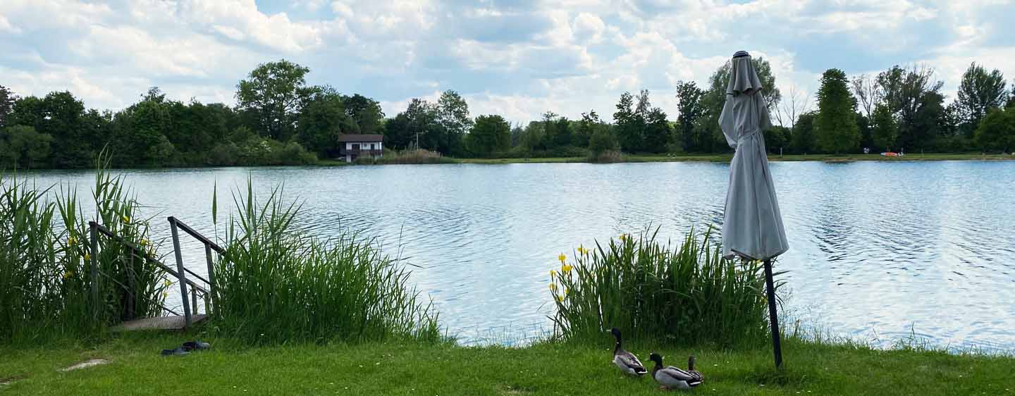 Gründe Liegewiese mit Wasserzugang, einem Sonnenschirm und einer Entenfamilie im Vordergrund. Dahinter der Radersdorfer Baggersee.